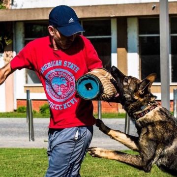 Marcus Freitas - Águeda - Motorista