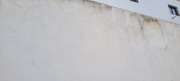 Painting - Home Improvements
