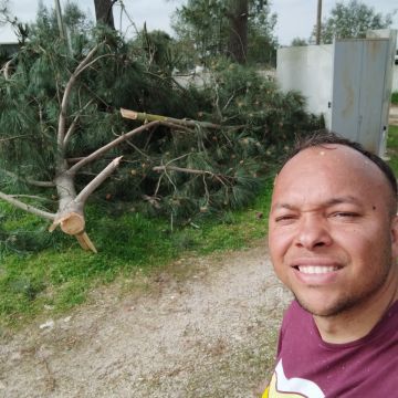Portugreen - Palmela - Baumstumpf oder -wurzel wegfräsen und entfernen