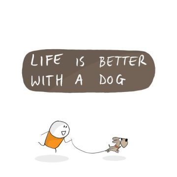 Ana Silva - Vila Nova de Gaia - Dog Walking