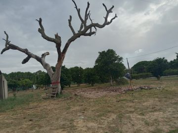 Portugreen - Palmela - Gelände planieren (Großflächig)