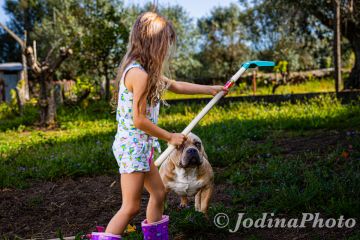 JodinaPhoto - Crato - Pet Photography