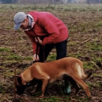 Marcus Freitas - Águeda - Treino de Cães - Aulas