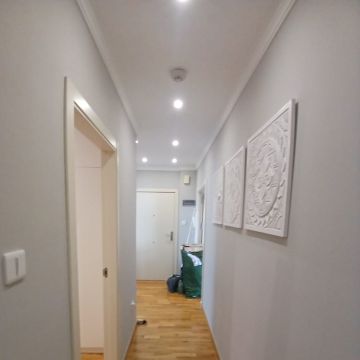 A.S Solutions - Setúbal - Enlèvement d'arbustes