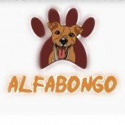 AlfaBONGO - Almada - Dog Walking