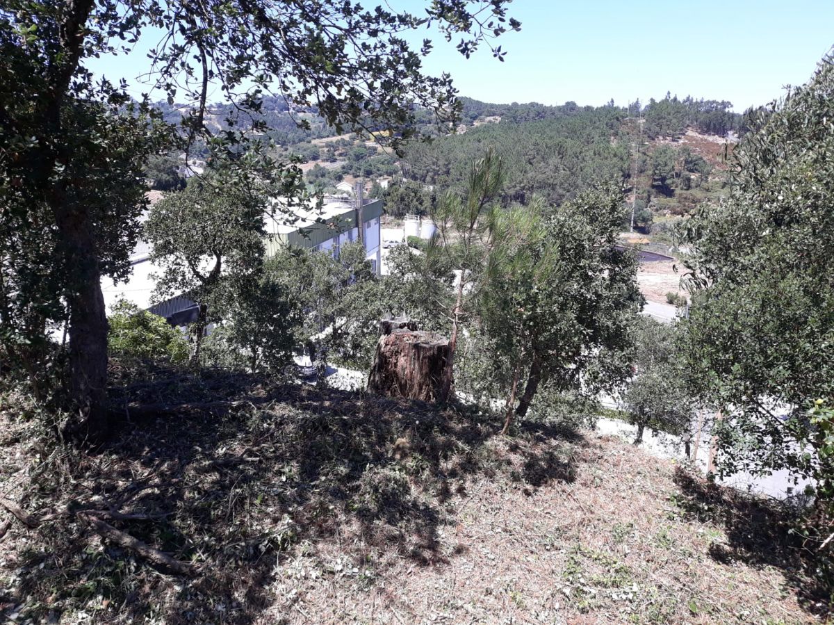 JB.paula - Arcos de Valdevez - Limpeza Geral