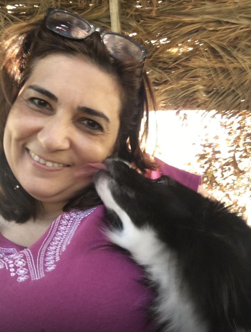 Lovely Pet - Braga - Cuidar tus gatos