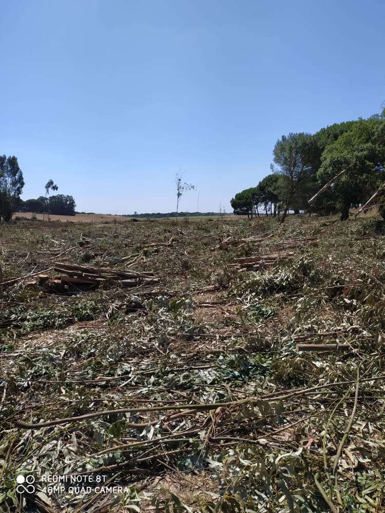 JB.paula - Arcos de Valdevez - Limpeza Geral