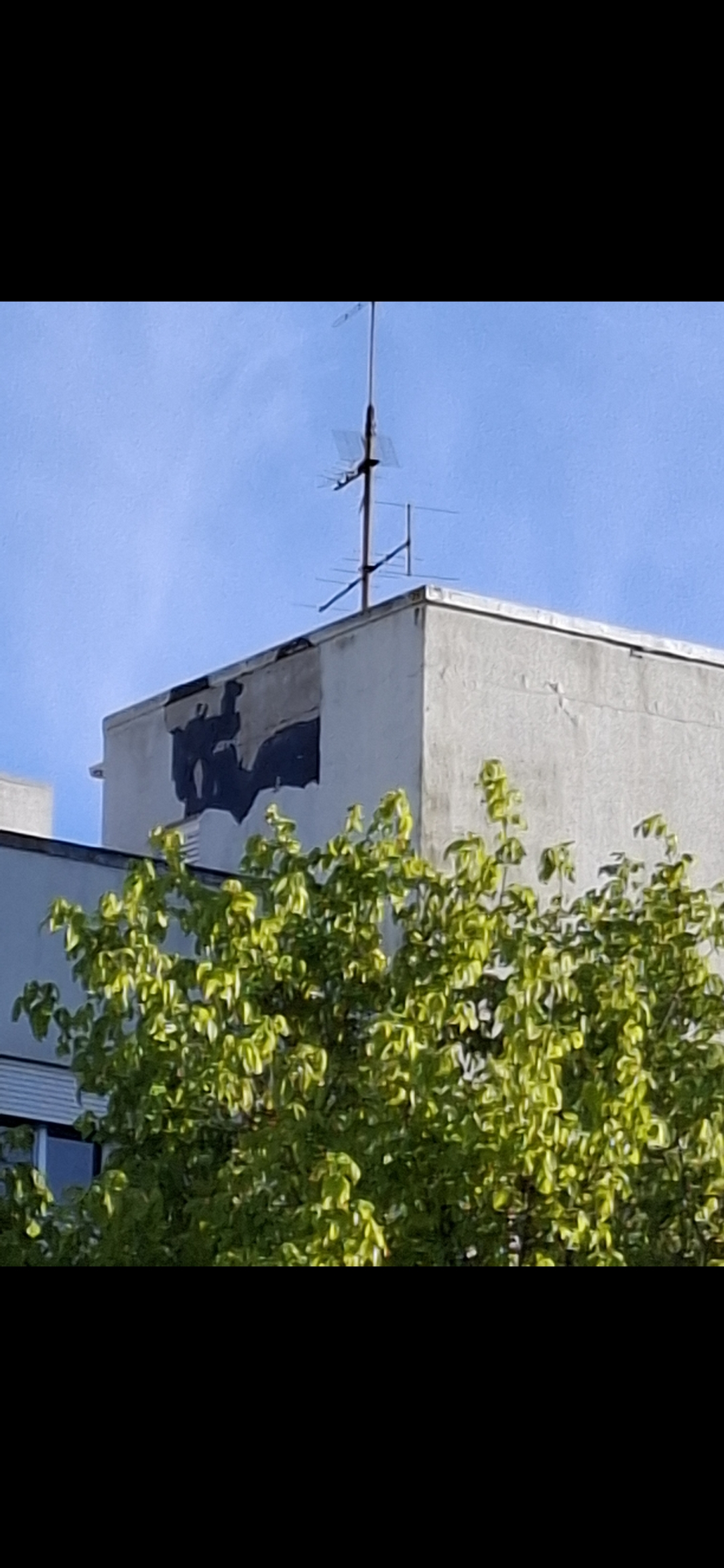 Técnico de Telhados e Coberturas
