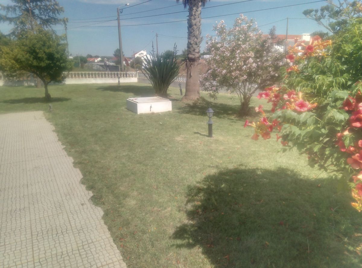 JB.paula - Arcos de Valdevez - Limpeza de Propriedade