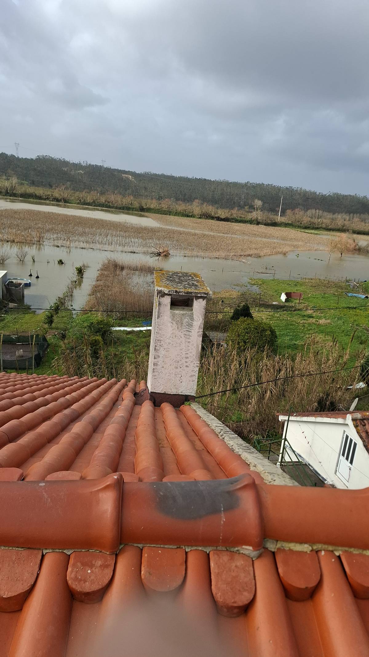 TALENTO CONFIRMADO - Leiria - Instalação ou Remodelação de Gradeamento