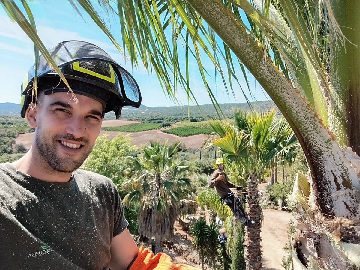 GREENSEQUEIRA - Gardens Construction + Trees - Silves - Backhoe Services