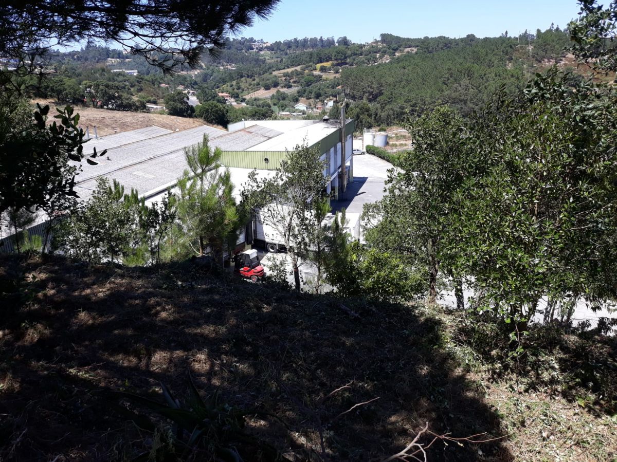 JB.paula - Arcos de Valdevez - Limpeza de Terrenos