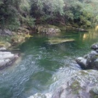 JB.paula - Arcos de Valdevez - Jardinagem e Relvados