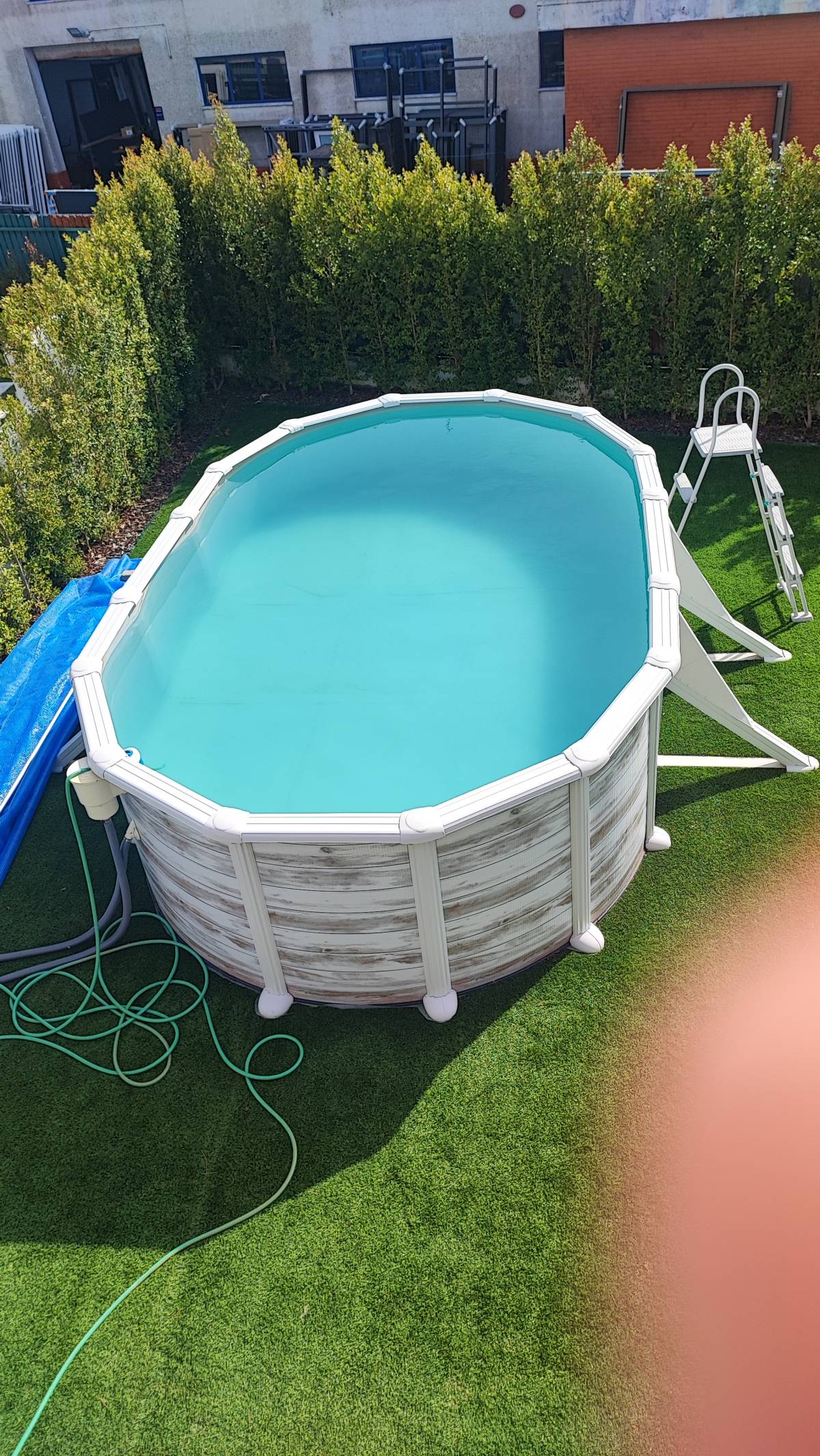 Swimming Pool Cleaning or Maintenance