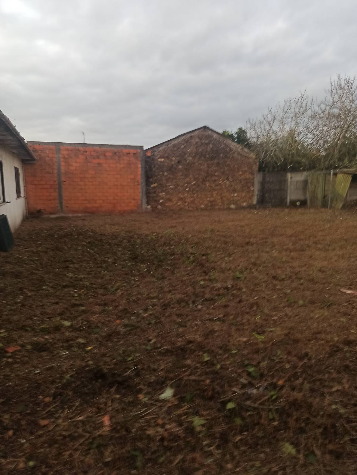 Tiago - Ílhavo - Gewächshaus - Montage und Reparatur