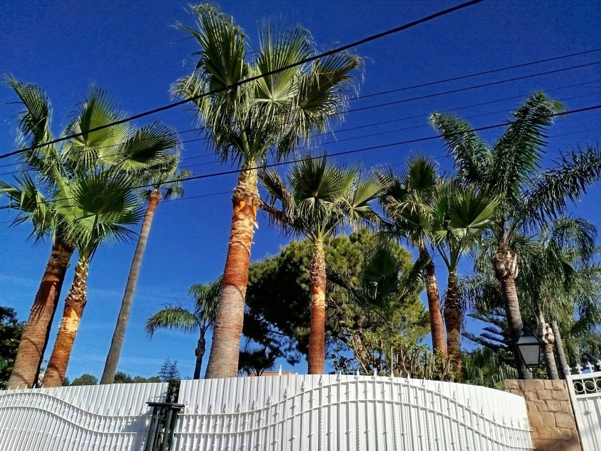 GREENSEQUEIRA - Gardens Construction + Trees - Silves - Boulder Placement