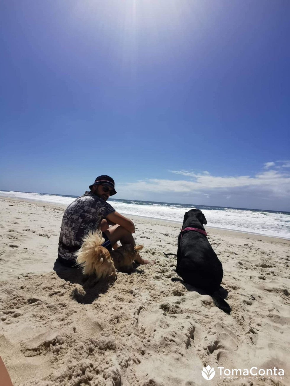 PatinhasFelizes - Ílhavo - Paseador de perros