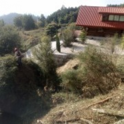 JB.paula - Arcos de Valdevez - Jardinagem e Relvados