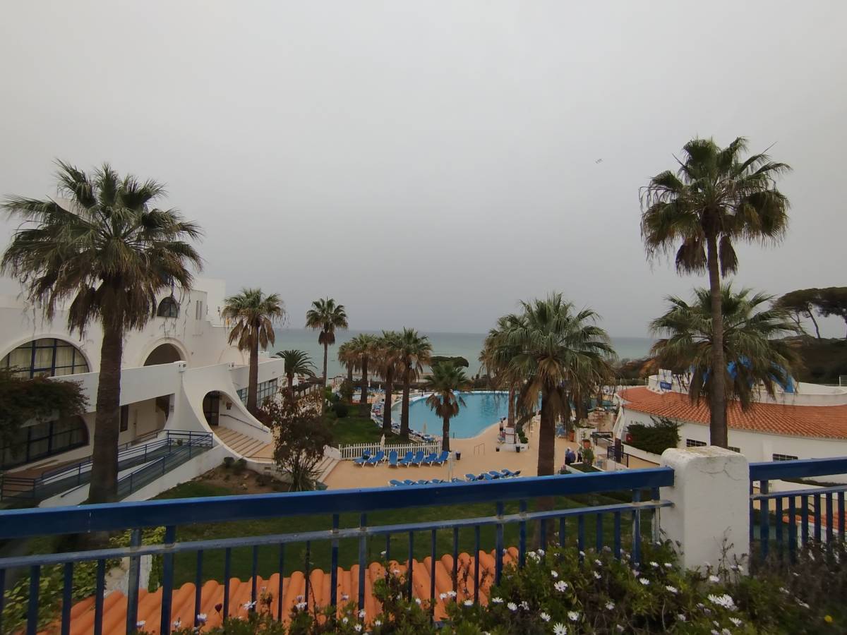GREENSEQUEIRA - Gardens Construction + Trees - Silves - Tree Trimming and Maintenance
