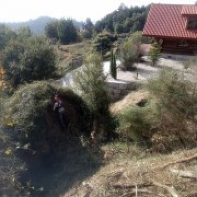 JB.paula - Arcos de Valdevez - Poda e Manutenção de Árvores