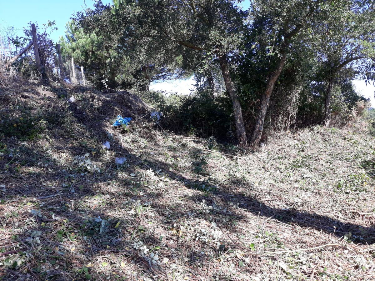 JB.paula - Arcos de Valdevez - Limpeza de Propriedade