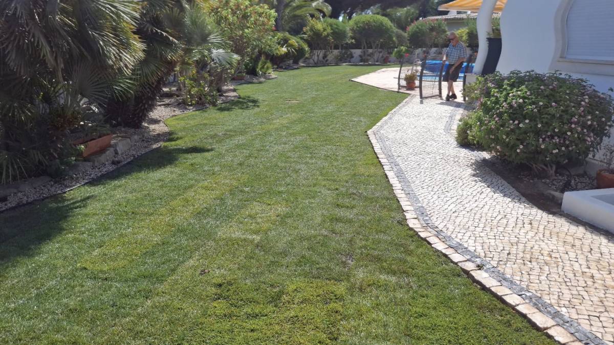 GREENSEQUEIRA - Gardens Construction + Trees - Silves - Gardening