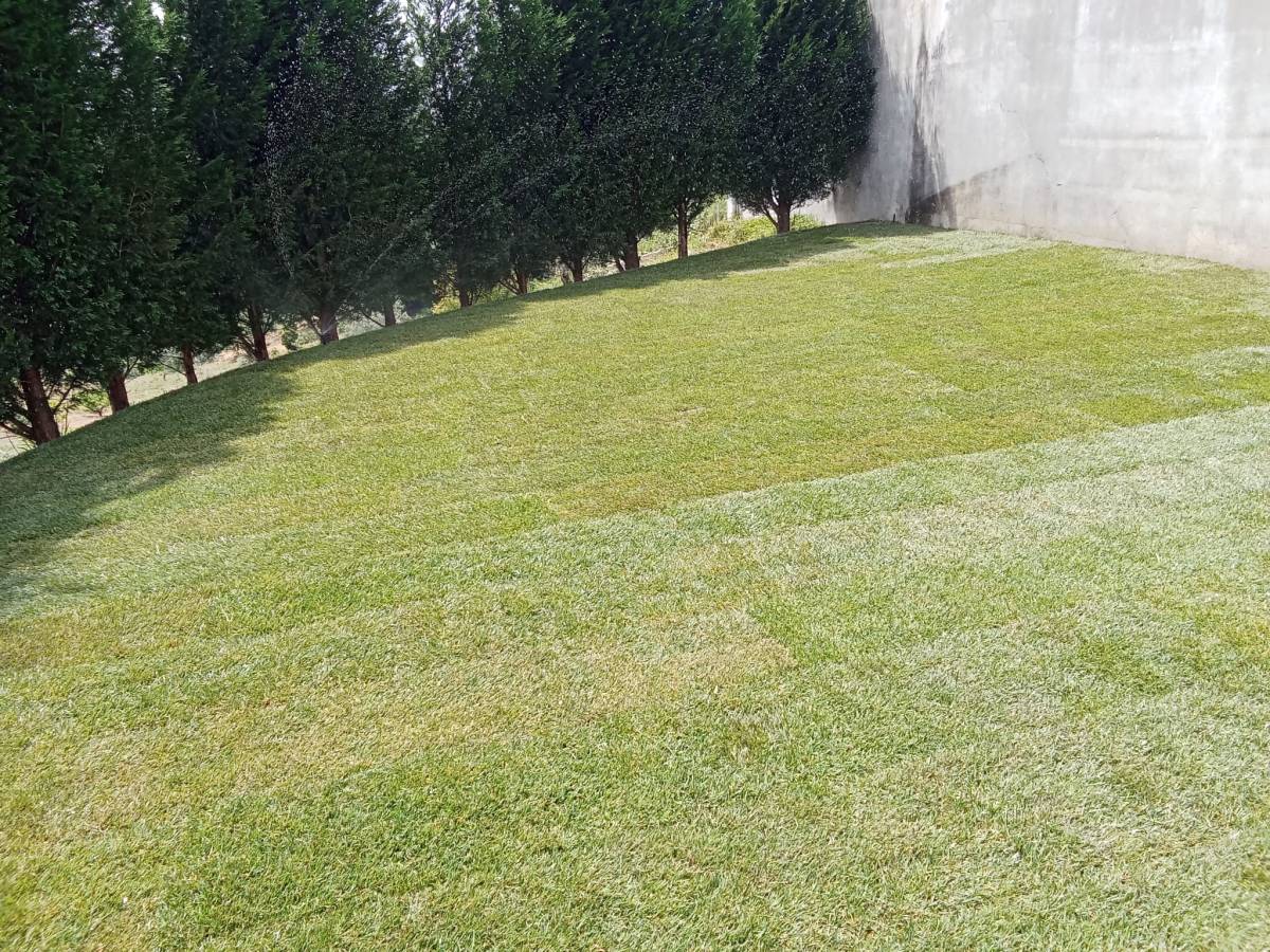 SA serviços de jardinagem - Vila Nova de Gaia - Baumstumpf oder -wurzel wegfräsen und entfernen