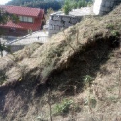 JB.paula - Arcos de Valdevez - Poda e Manutenção de Árvores