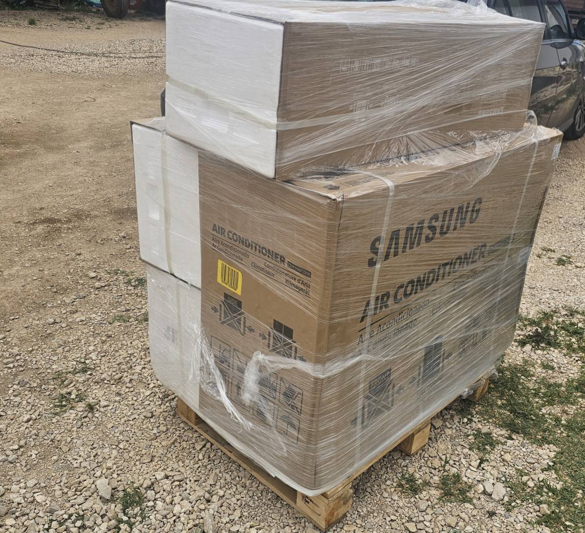 Pedro Martins - Albufeira - Poda y mantenimiento de árboles