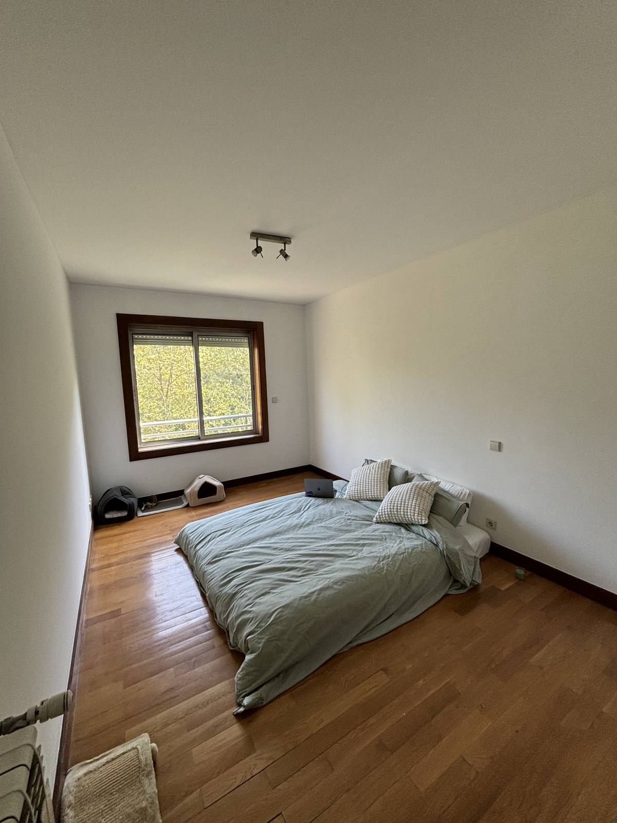 Malerarbeiten