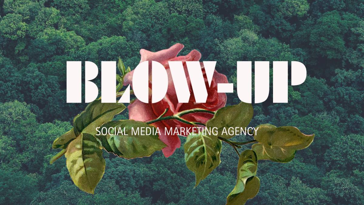 Blow-up Agency - Portimão - Marketing Digital