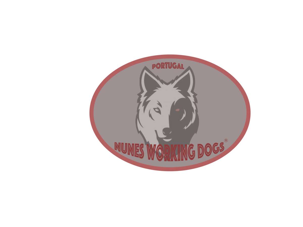 Nuno Nunes - Salvaterra de Magos - Dog Training
