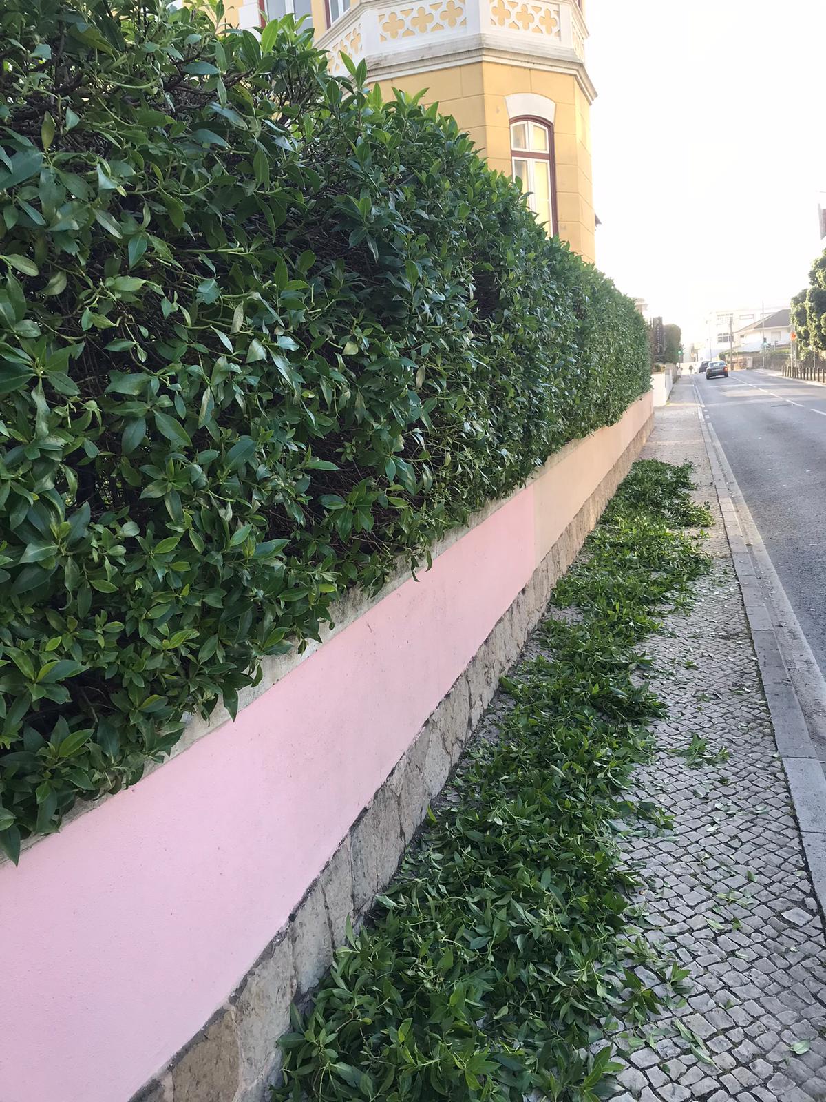 Eugeniu - Amadora - Corte e Aparação de Relvado