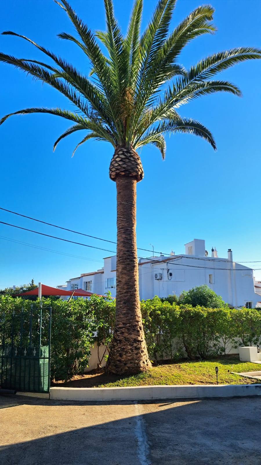 GREENSEQUEIRA - Gardens Construction + Trees - Silves - Farm Equipment Rental
