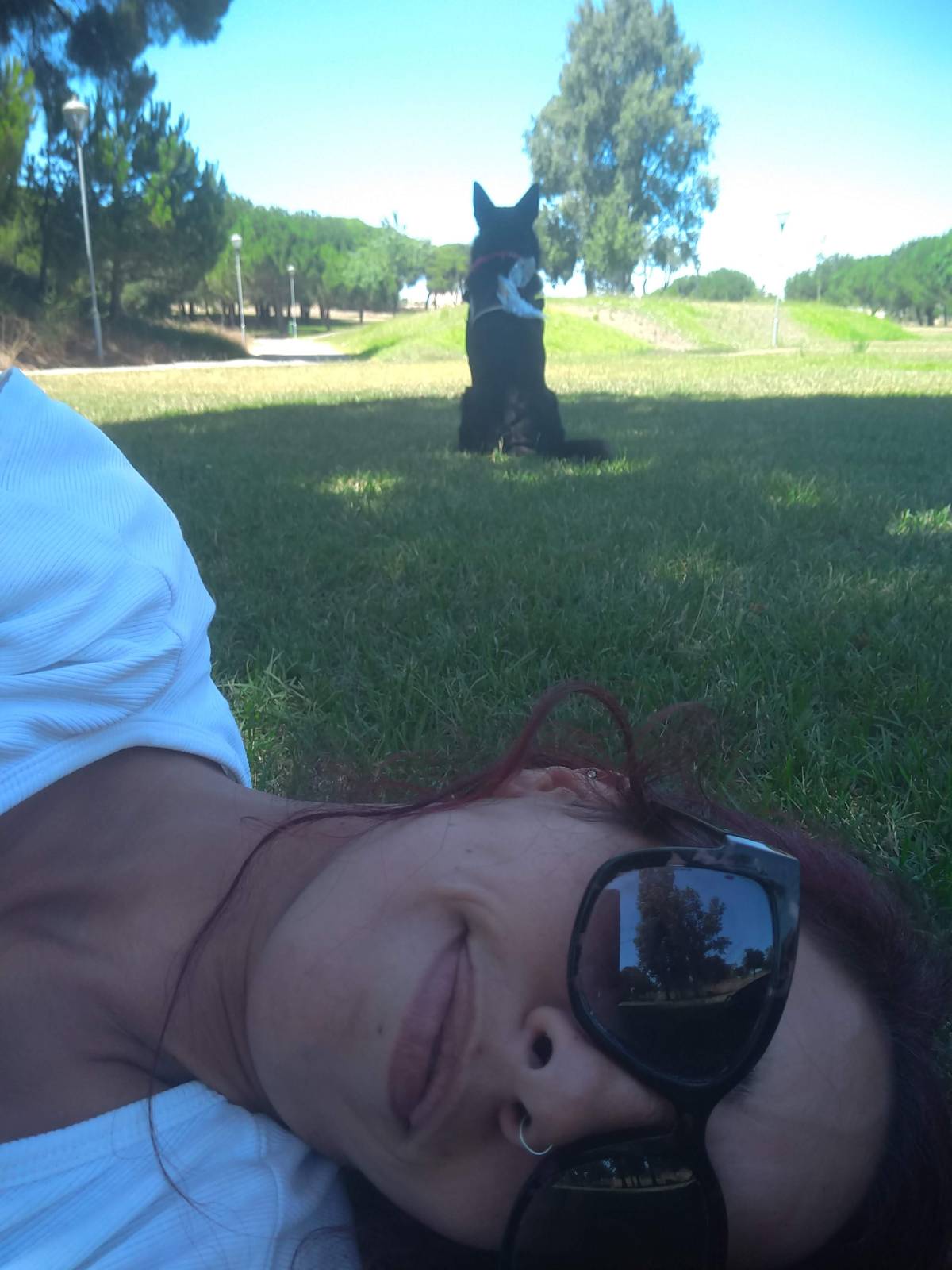 Sofia Fernandes - Setúbal - Limpieza de alfombras