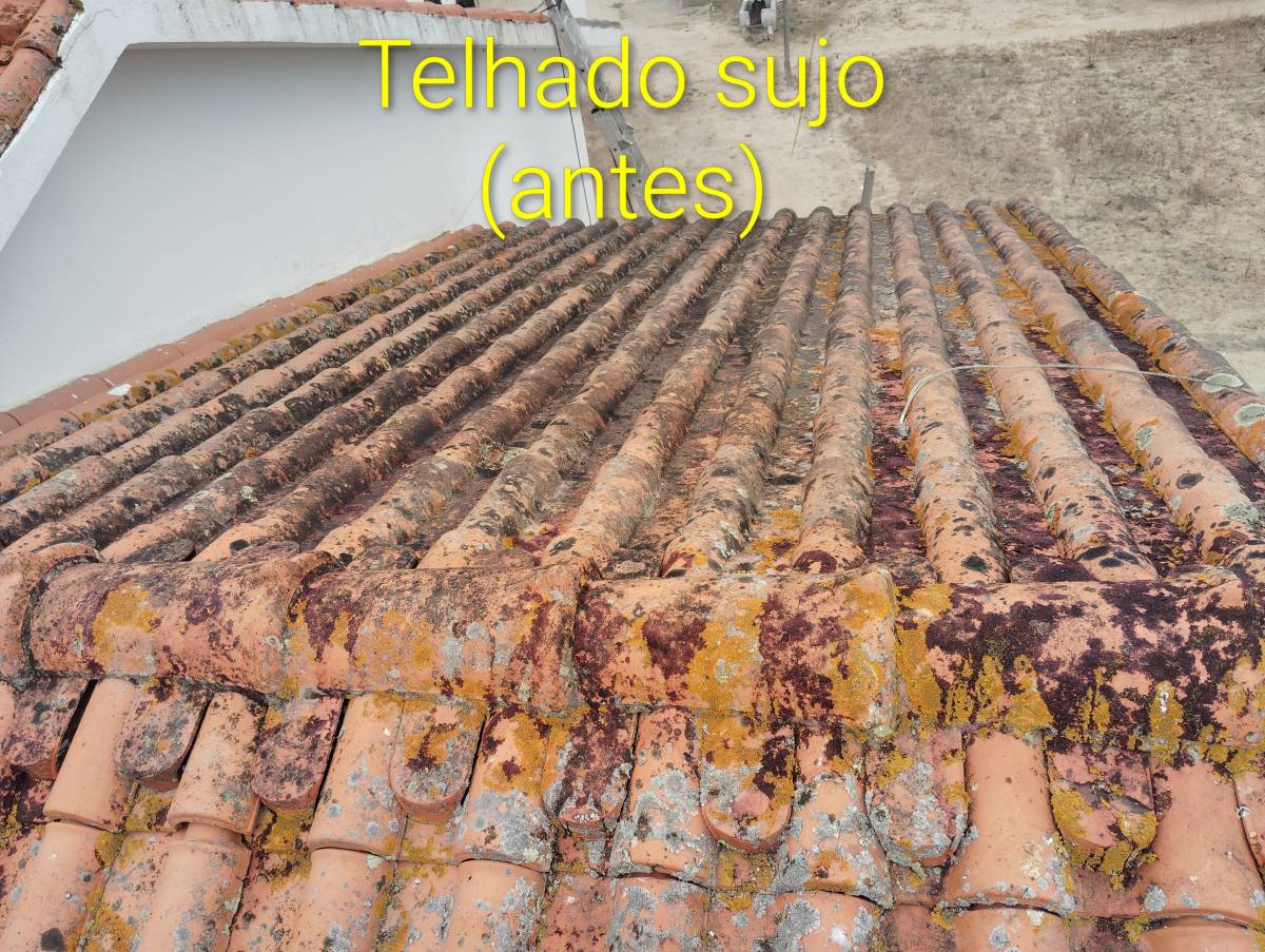 F&G obras e serviços - Odivelas - Property Cleanup