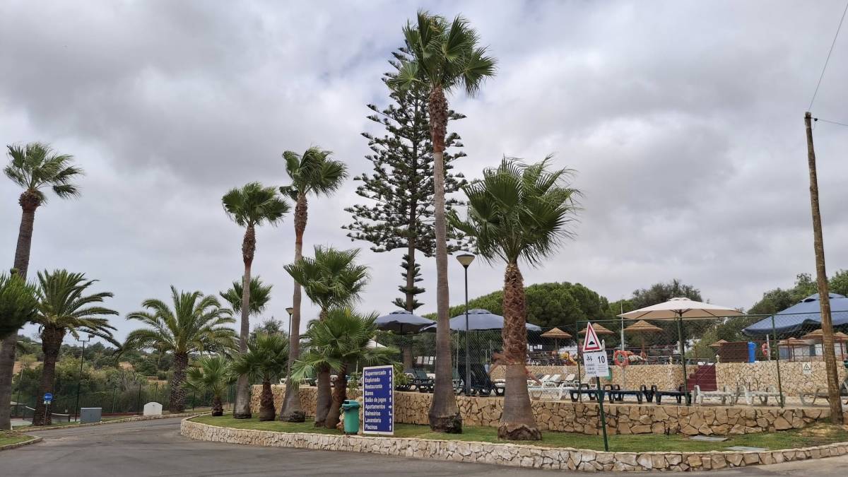 GREENSEQUEIRA - Gardens Construction + Trees - Silves - Sprinkler System Installation