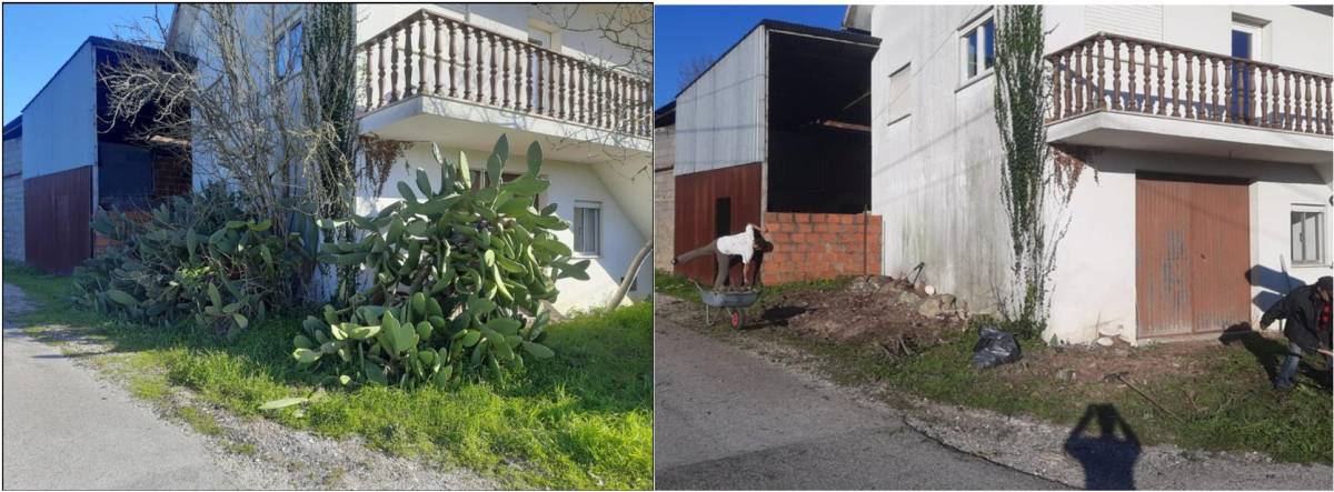 Papa Matos Leiria - Leiria - Handyman