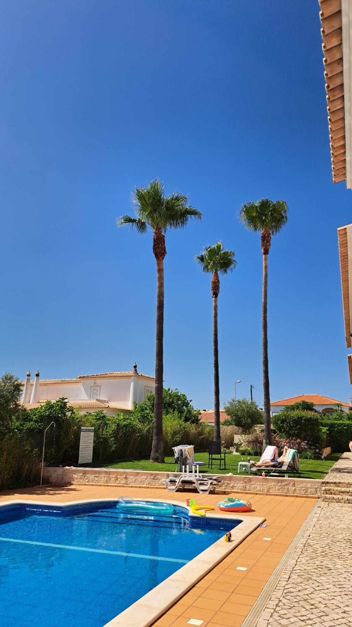 GREENSEQUEIRA - Gardens Construction + Trees - Silves - Tree Planting
