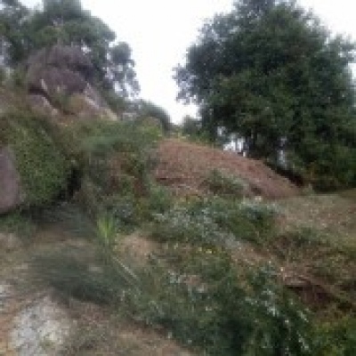 JB.paula - Arcos de Valdevez - Limpeza de Propriedade