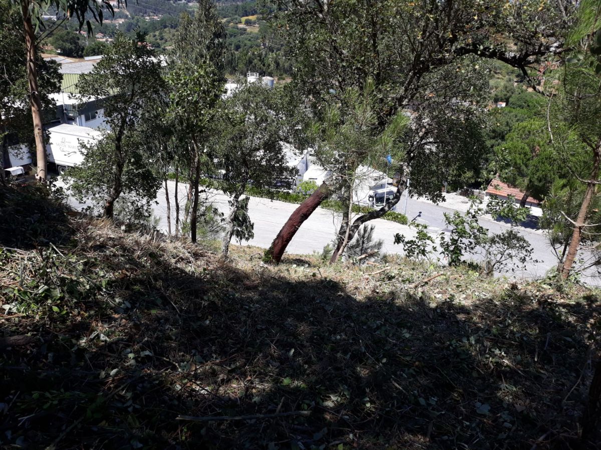 JB.paula - Arcos de Valdevez - Limpeza de Terrenos