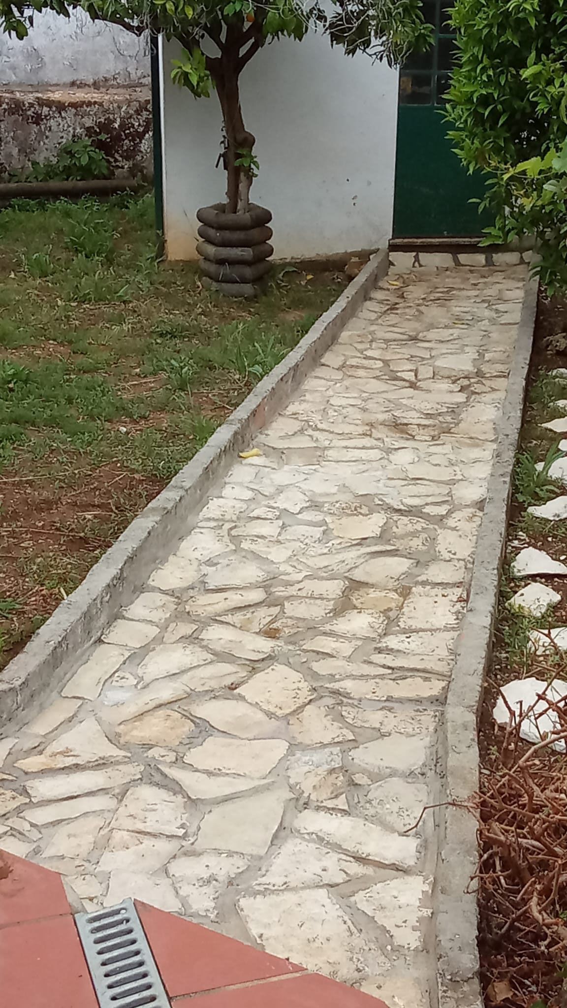 Papa Matos Leiria - Leiria - Serviço de Biscates