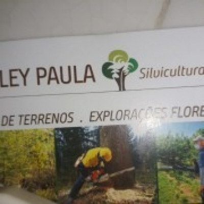 JB.paula - Arcos de Valdevez - Limpeza de Propriedade
