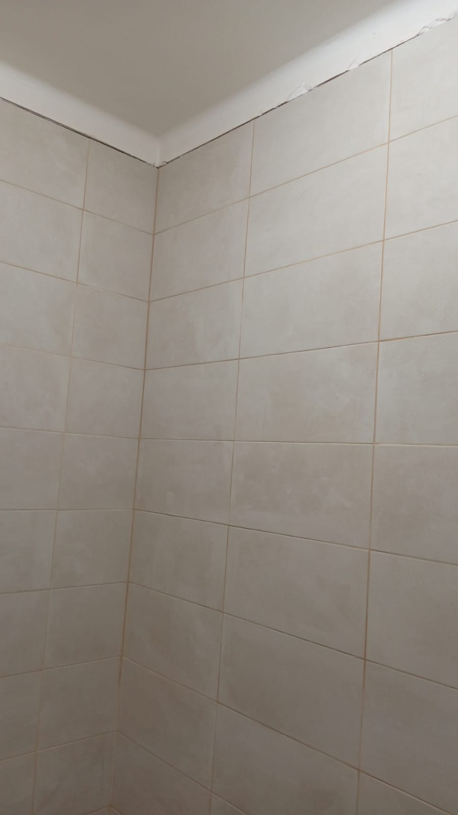 Bordon Remodelação e construção - Pombal - Attic Remodel