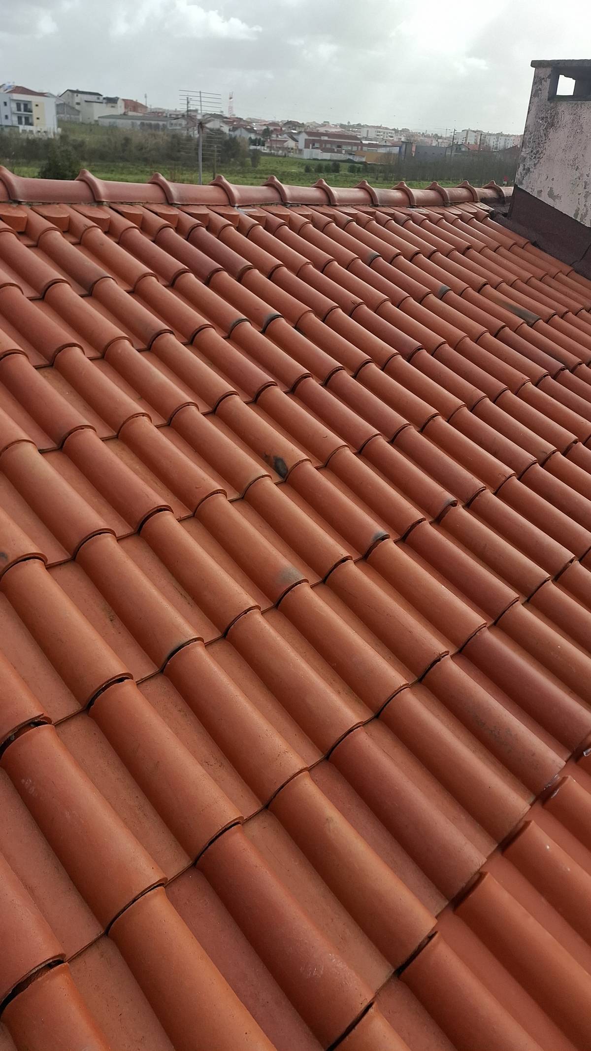 TALENTO CONFIRMADO - Leiria - Instalação de Azulejos