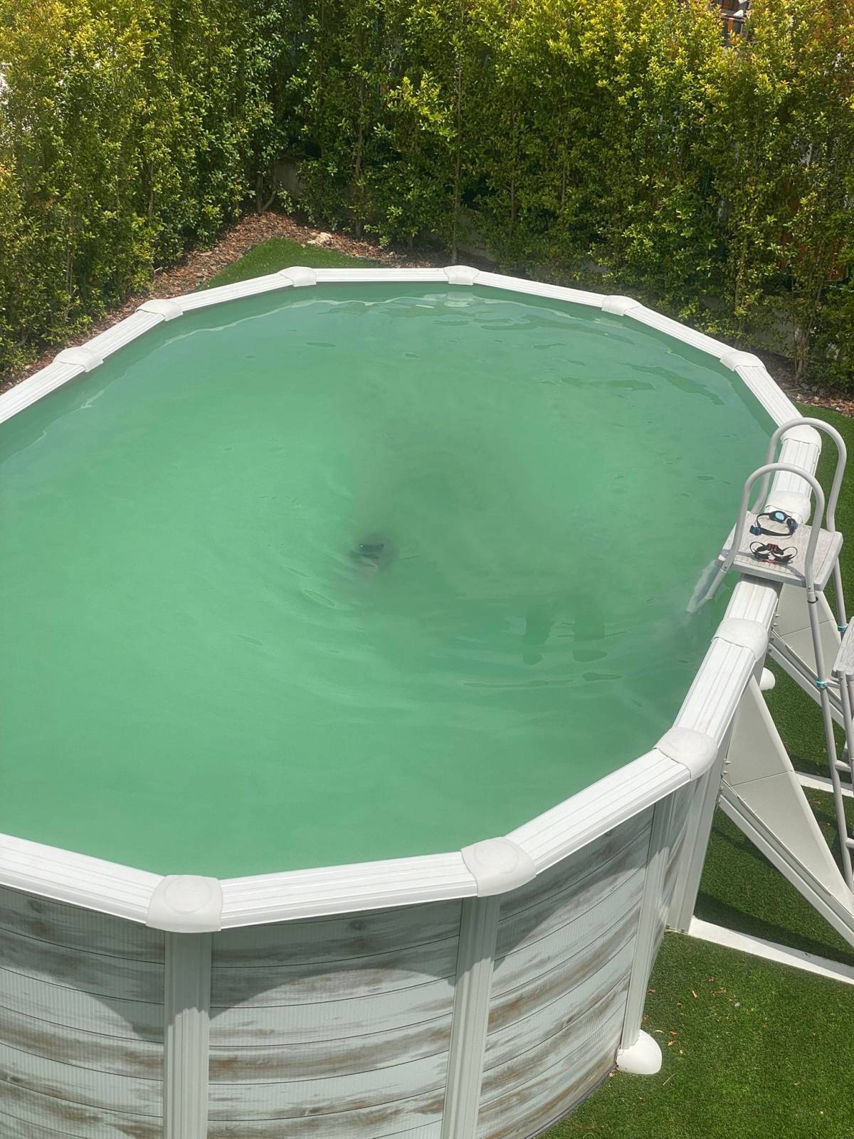 Pool Cleaner