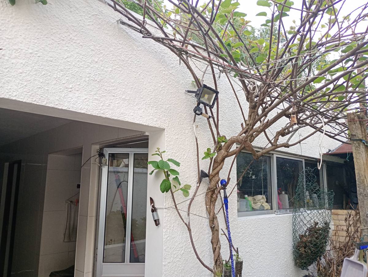 Pintor de Casas - Casa
