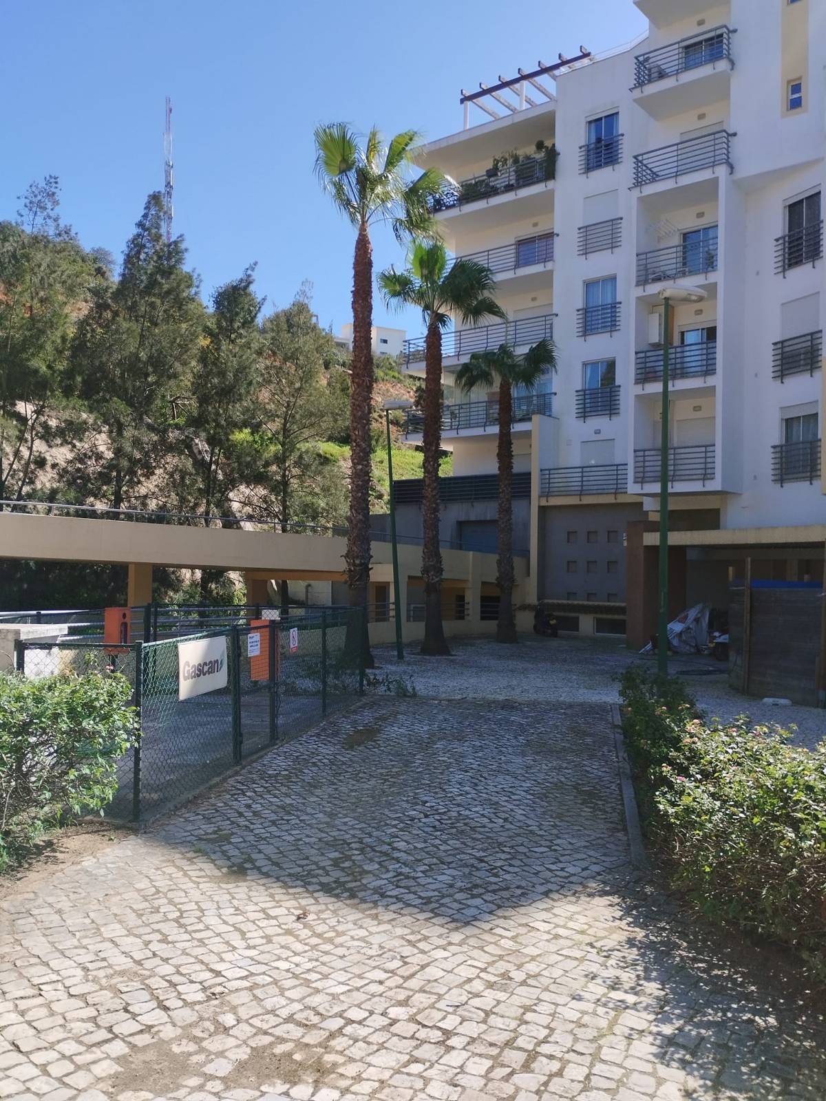 GREENSEQUEIRA - Gardens Construction + Trees - Silves - Outdoor Landscaping