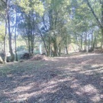 JB.paula - Arcos de Valdevez - Poda e Manutenção de Árvores